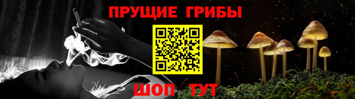 Чайковский  Псилоцибиновые грибы Magic Shrooms  Псилоцибиновые грибы мицелий  Вход с VPN 